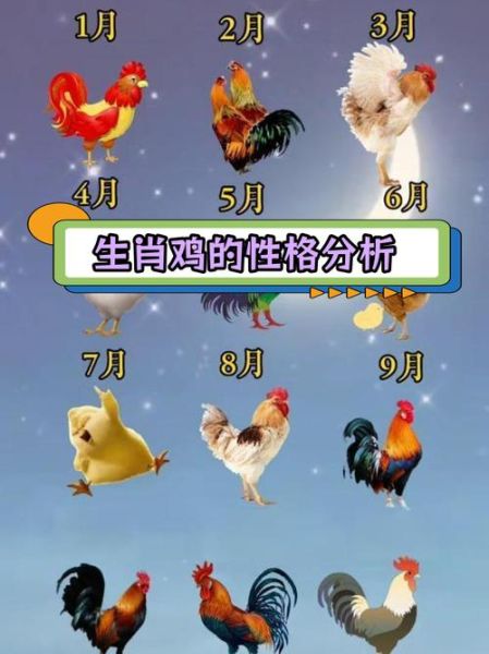 生肖属相鸡的年份(生肖鸡哪几年出生?看完这张图就懂)