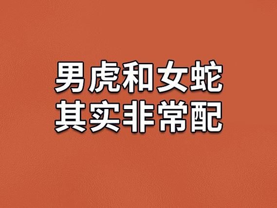 虎属相配蛇的生肖(属虎和属蛇的生肖配对好吗?)