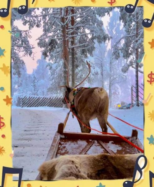 查芬兰属什么生肖属相(芬兰属什么生肖属相 🦌)