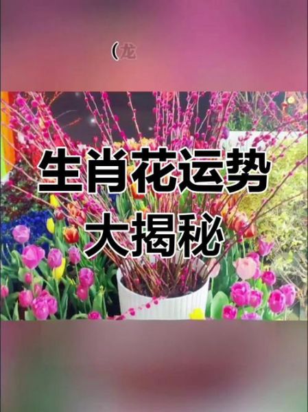 花与生肖属相搭配(生肖本命花怎么选最吉利)
