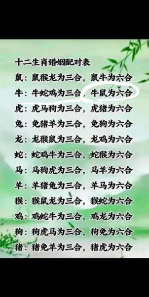 生肖猪和生肖鸡属相合吗(生肖猪和生肖鸡配吗)