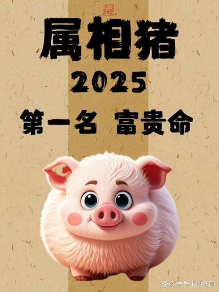 属猪富贵生肖属相（属猪的今年能招财吗）