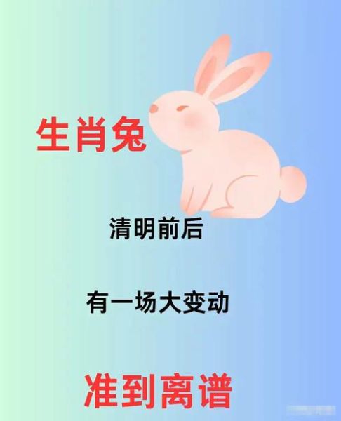 生肖兔的贵人属相是什么(生肖兔的贵人属相,新手一看就懂)