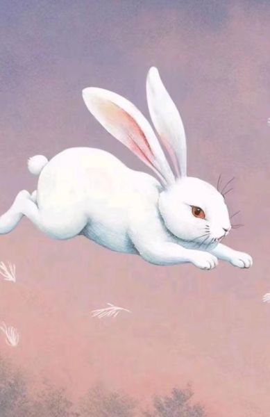 生肖兔的贵人属相是什么(生肖兔的贵人属相,新手一看就懂)