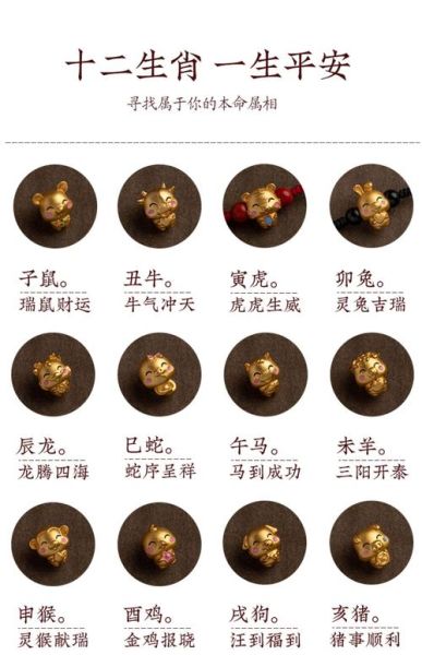 生肖属相抓夹(生肖属相抓夹怎么选?超入门避坑指南)