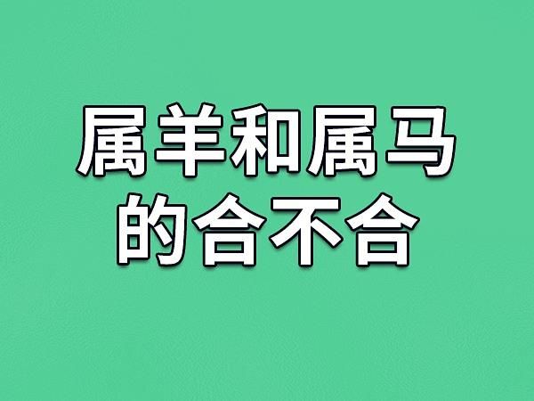 属相马与生肖羊(属马和属羊的姻缘到底好不好?)