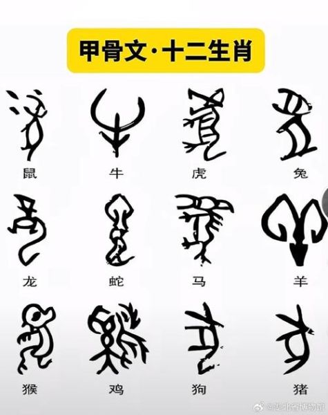 甲代表生肖属相是什么