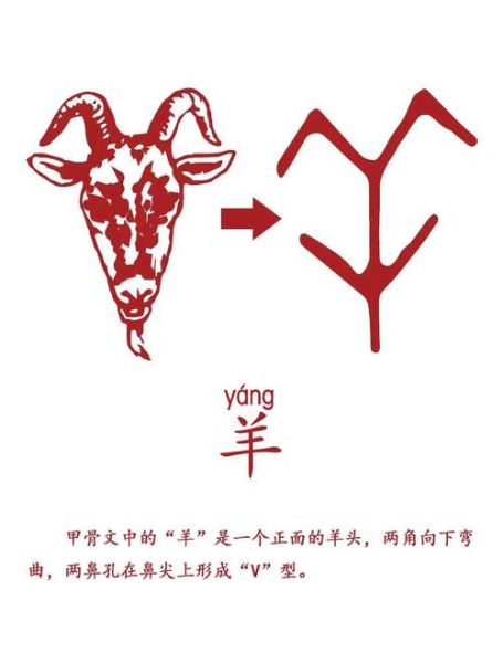 甲代表生肖属相是什么