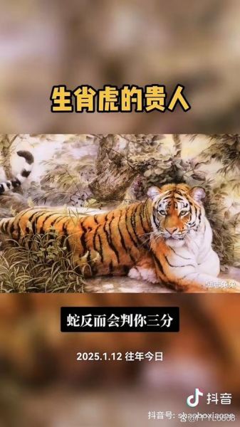 虎的生肖的贵人属相(属虎的贵人生肖是谁)