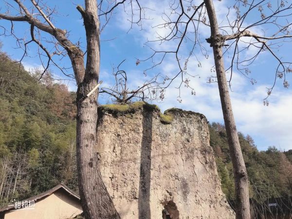 生肖鼠冲什么属相(生肖鼠和什么生肖相冲)