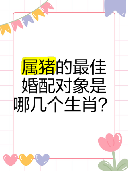 属猪最配的生肖属相（属猪和什么属相最配婚姻最好）