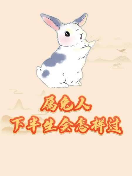 生肖兔残疾人属相(生肖兔残疾人属相会相冲吗)