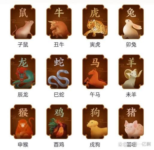 简约属什么生肖属相呢(简约代表什么生肖属相🔍)