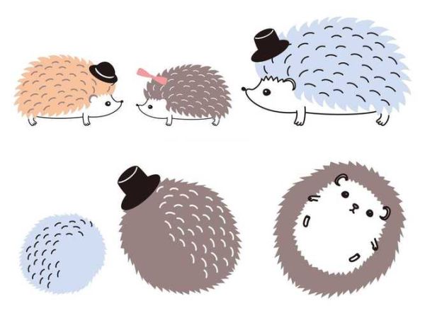 生肖狗和属相牛（属狗和属牛婚姻配对怎么样）