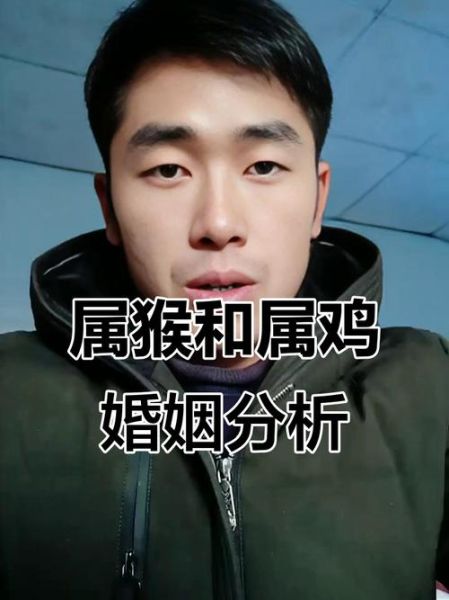 生肖猴和生肖鸡属相(猴鸡配婚到底合不合)