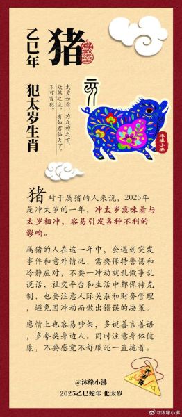 甲寅属于哪个生肖属相（甲寅年出生属什么生肖？）