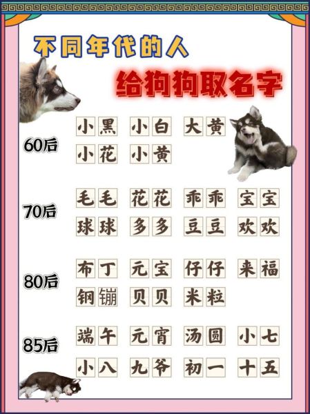 生肖狗属相取名男（属狗男孩起名宜忌字参考）