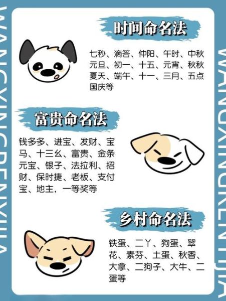 生肖狗属相取名男（属狗男孩起名宜忌字参考）