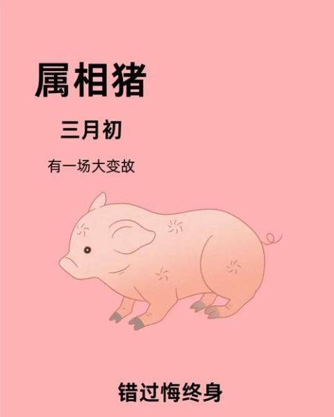 生肖猪和什么属相最差（属猪和什么属相不合最克 🙀）
