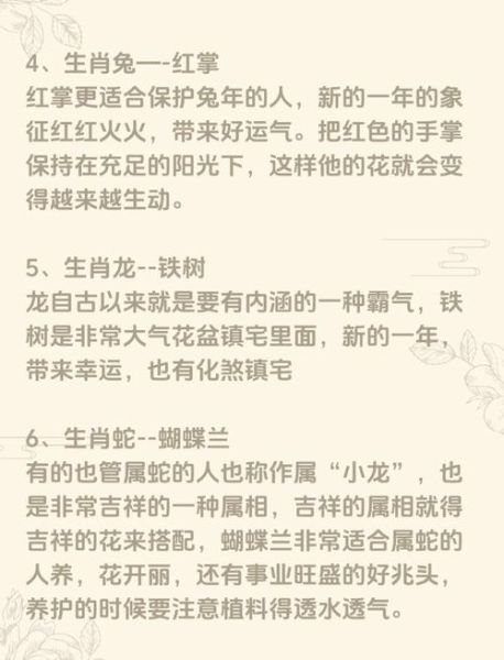 生肖属相绿植配对（生肖属相绿植配对怎么选）