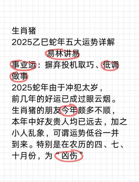 属相派对生肖猪(生肖猪2025运势解析✨本命年犯太岁吗?)