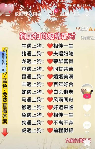 生肖狗和龙属相合吗(生肖狗与龙到底合不合?🐶🐲)