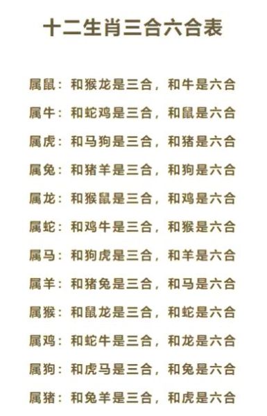 和老鼠合的属相十二生肖(和老鼠最合的三大属相)