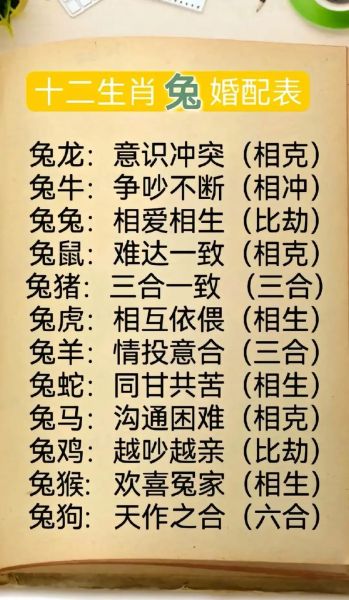 不同生肖的属相(属兔的属相到底是哪几年)