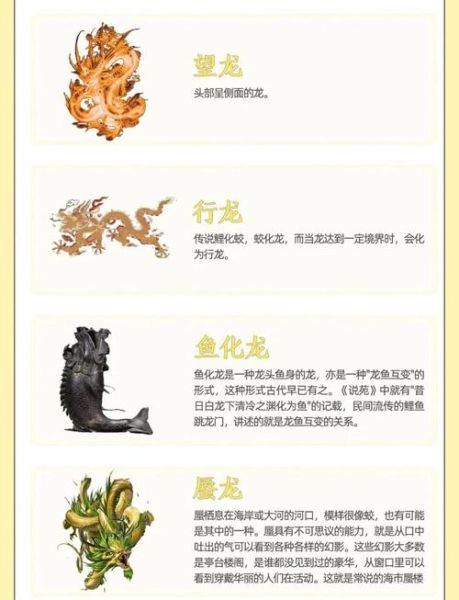 龙生肖的相合属相（龙和哪些属相最合？）