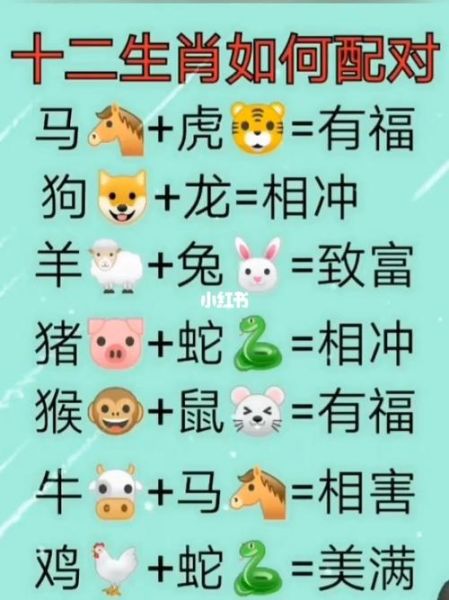 生肖属相马配对表(生肖属相马配对最佳生肖完整版)