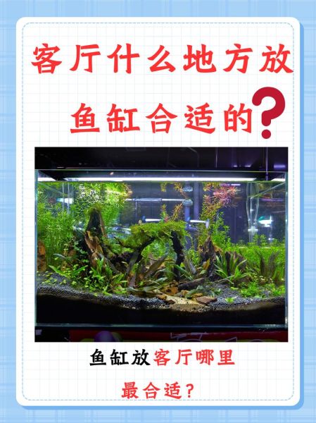 生肖属相缸(生肖属相鱼缸摆放最佳方位图解)