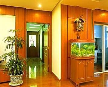 生肖属相缸(生肖属相鱼缸摆放最佳方位图解)