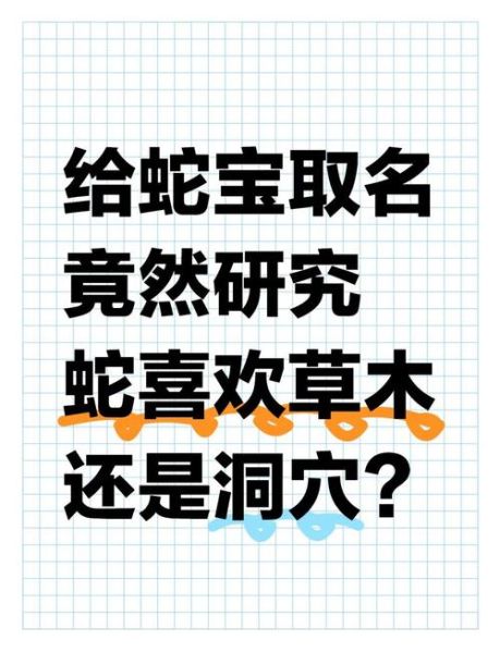 属相蛇怕什么生肖呢（属相蛇最忌啥生肖？新手一看就懂的避坑指南）