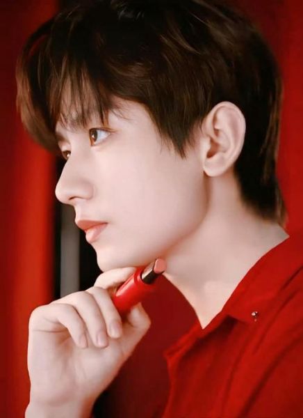 成毅的生肖属相(成毅生肖属相是什么)