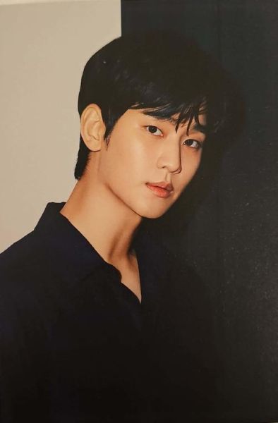 金秀贤什么生肖属相的（金秀贤生肖属相及性格大揭秘）