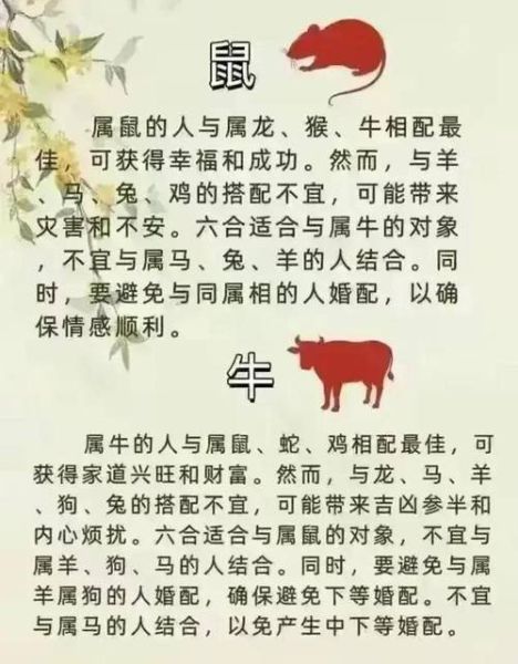 生肖属相易经（生肖属相易经配对如何影响婚姻运势）