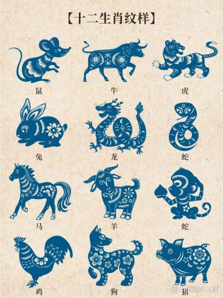生肖属相图形设计文献（生肖图形设计怎么入门）
