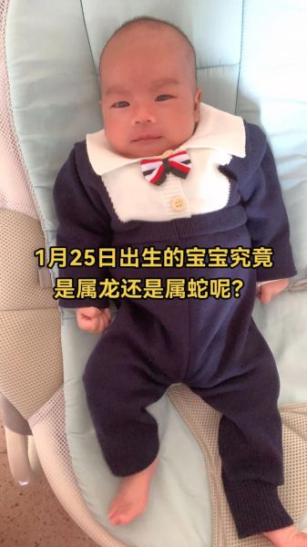 龙女宝宝属相是什么生肖（龙女宝宝是什么生肖？一文看懂）