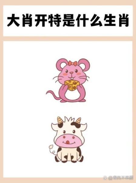 男人偷看女人的生肖属相（男人为啥总偷看属兔女😍）