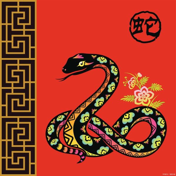 生肖蛇类型有哪些属相（生肖蛇对应哪些生肖相合属相？）