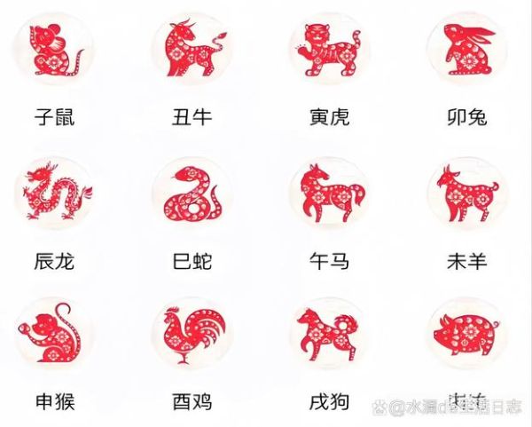 你属相是什么生肖(你属相是什么生肖怎么查)