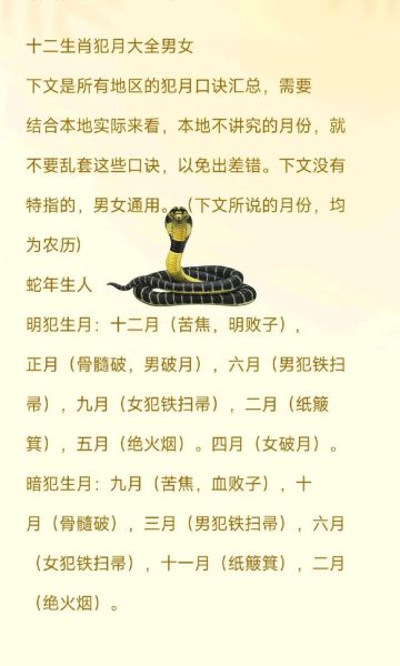 十二生肖属相犯相（十二生肖犯相是什么意思💫）