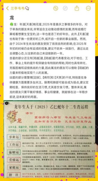 生肖属相解读（生肖属相解读2025运势完整版🐉）