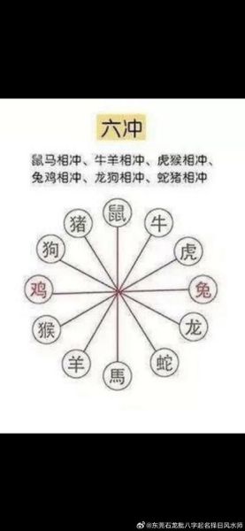 家庭生肖属相（家庭生肖属相相冲该如何化解）