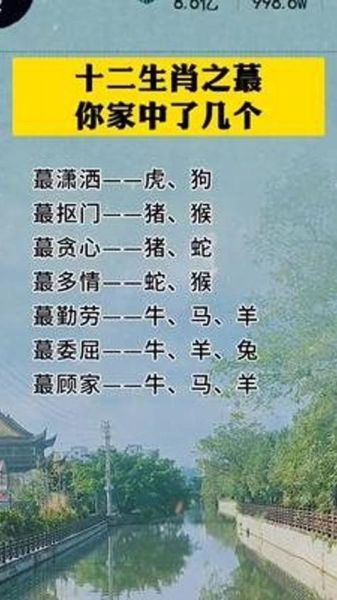 带老公属相生肖(带老公属相生肖有什么讲究)