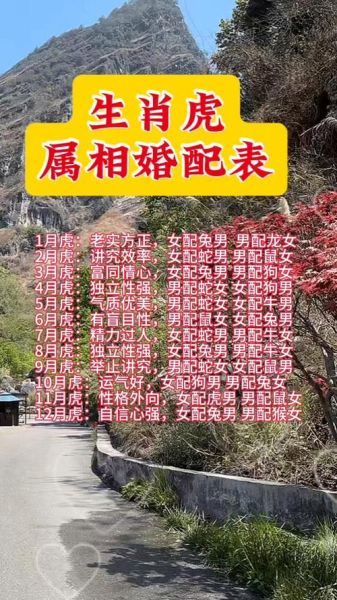 虎年不能配的生肖属相(虎年不能配的生肖属相有哪些)