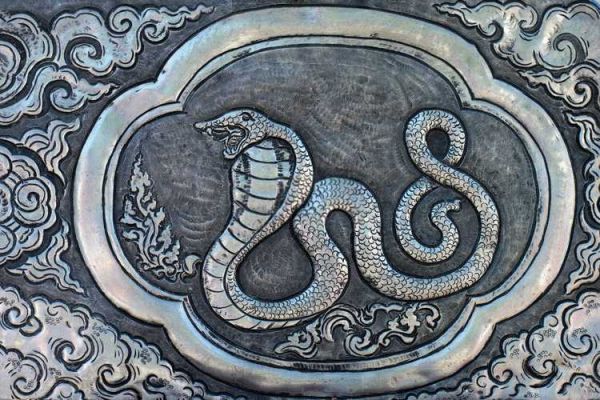 顺治帝生肖属相（顺治帝属相是什么🐉新手一看就懂）