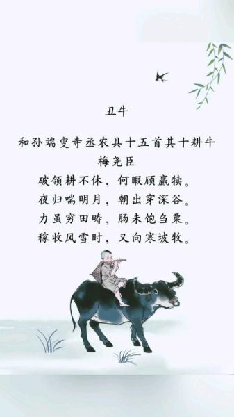 生肖属相古诗(鼠年古诗怎么选?小白速查指南)