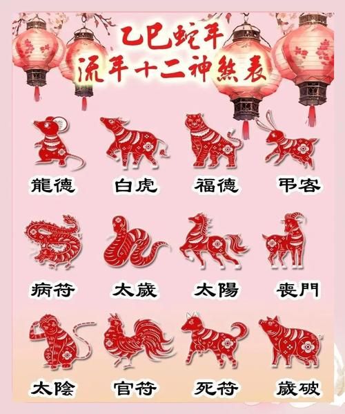 怎么看准确生肖属相（2025生肖属相怎么看最准确）
