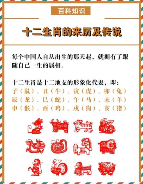 怎么定义生肖属相